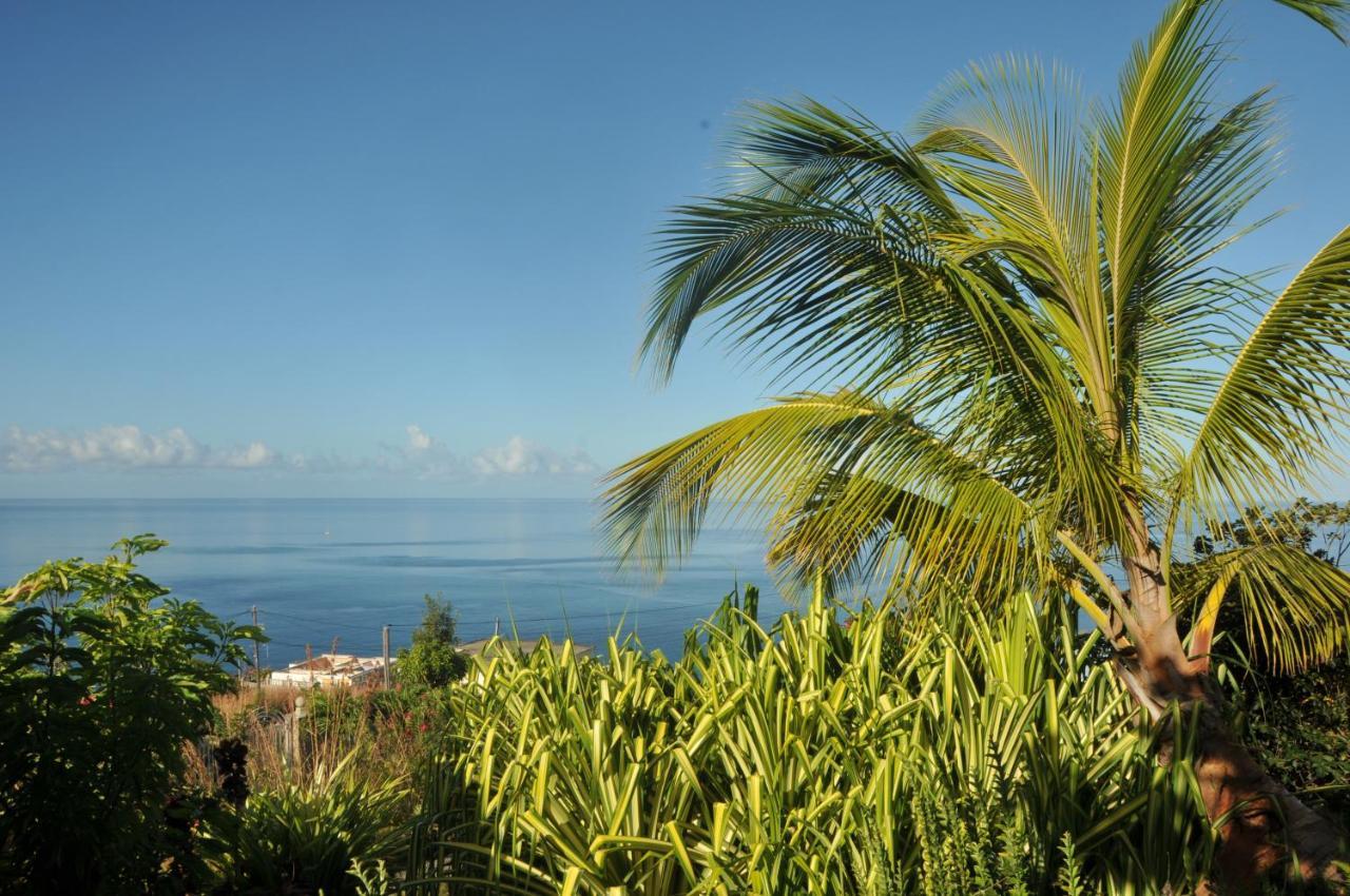 Mango Island Lodges Saint Joseph Dış mekan fotoğraf