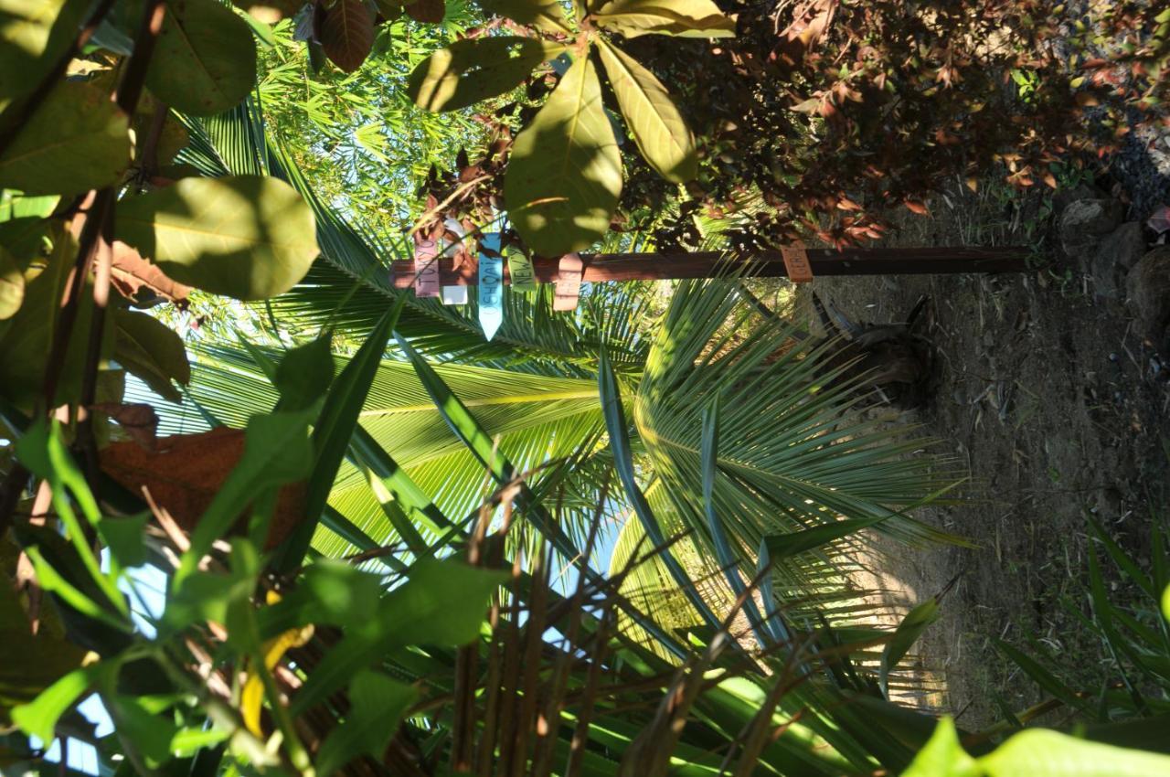 Mango Island Lodges Saint Joseph Dış mekan fotoğraf
